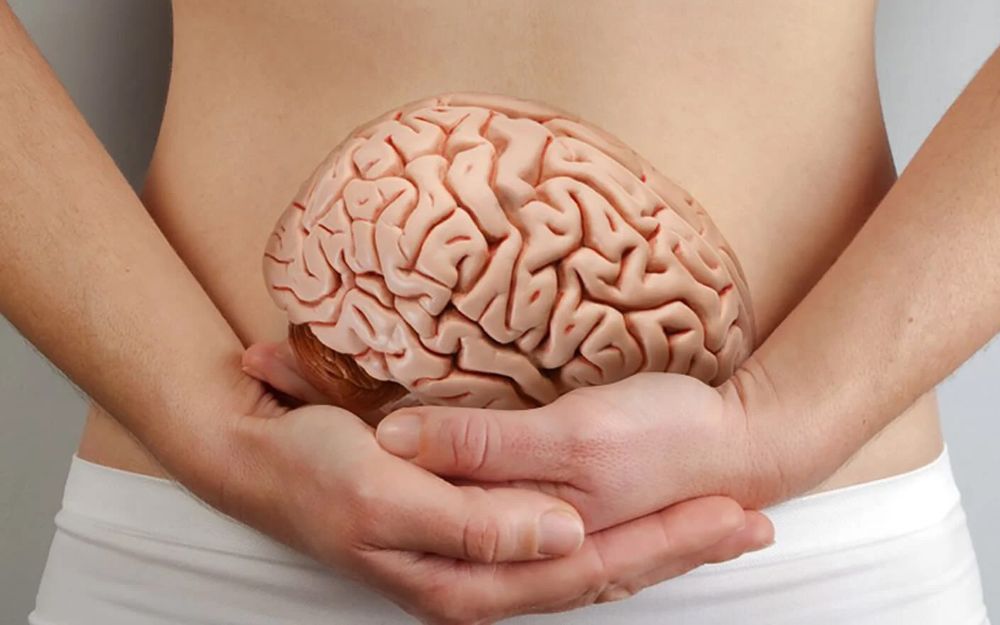 Кишечник — второй мозг: как питание влияет на настроение и иммунитет